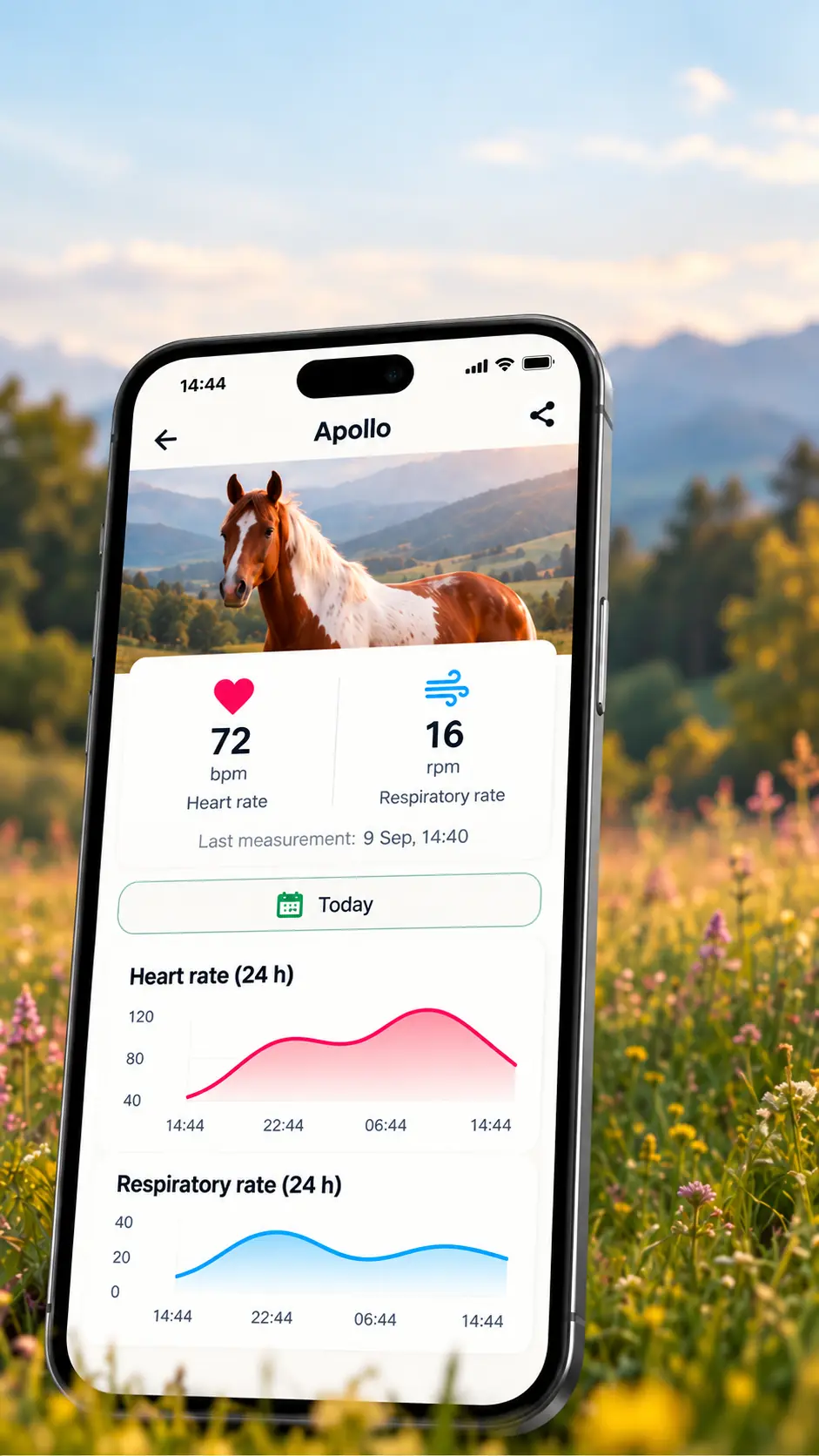 GioVet application showing heart rate and respiratory rate for the horse Apollo